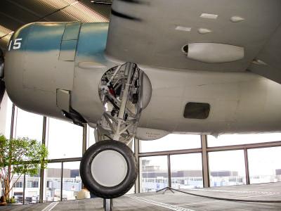 ord_f4f_07.jpg
