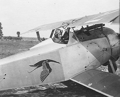 003_Nieuport17_Guynemer.jpg