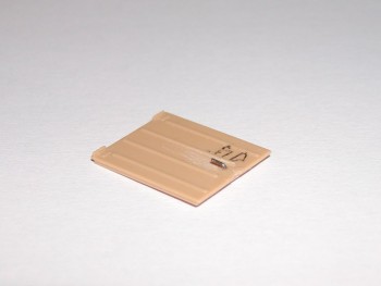 P1010037.JPG