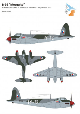 B-36.jpg