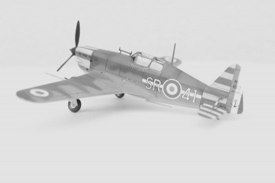 MS406_vichy13bw.jpg