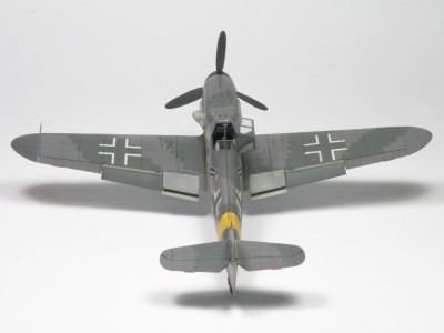 P5178685.JPG