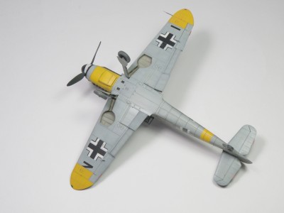 P5178698.JPG