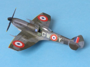 Spitfires_ 2013_15.jpg