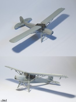 storch-1.jpg