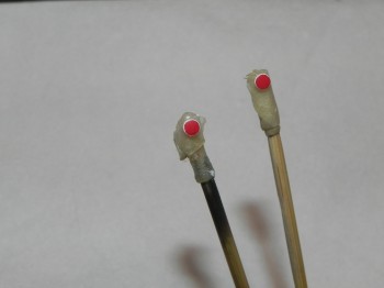 DSCN1986.JPG