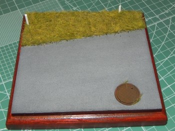 DSCN1996.JPG